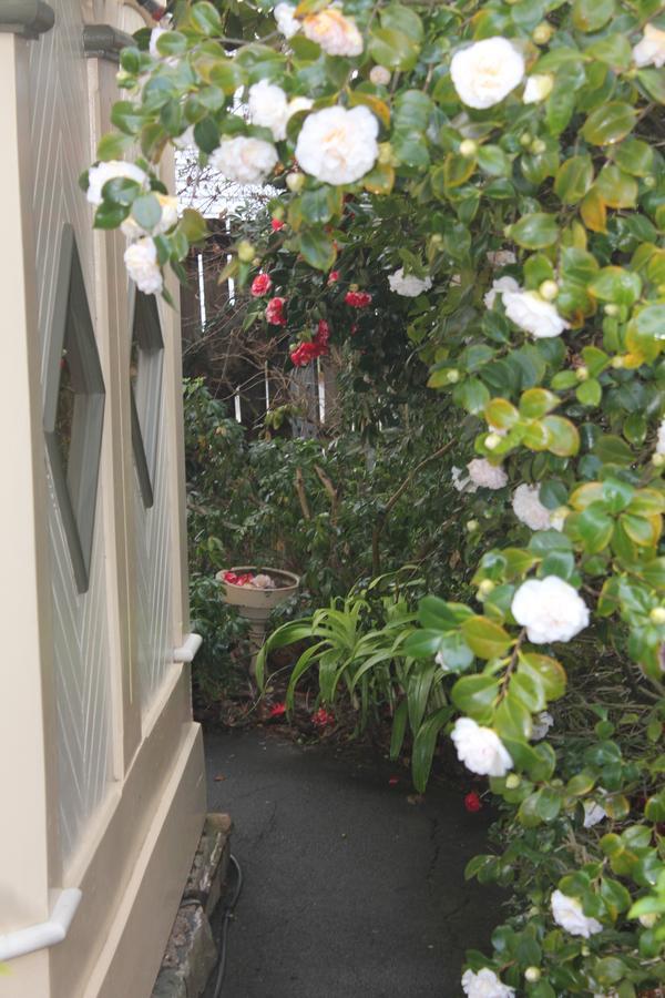 Turret House Bed & Breakfast Launceston Bagian luar foto